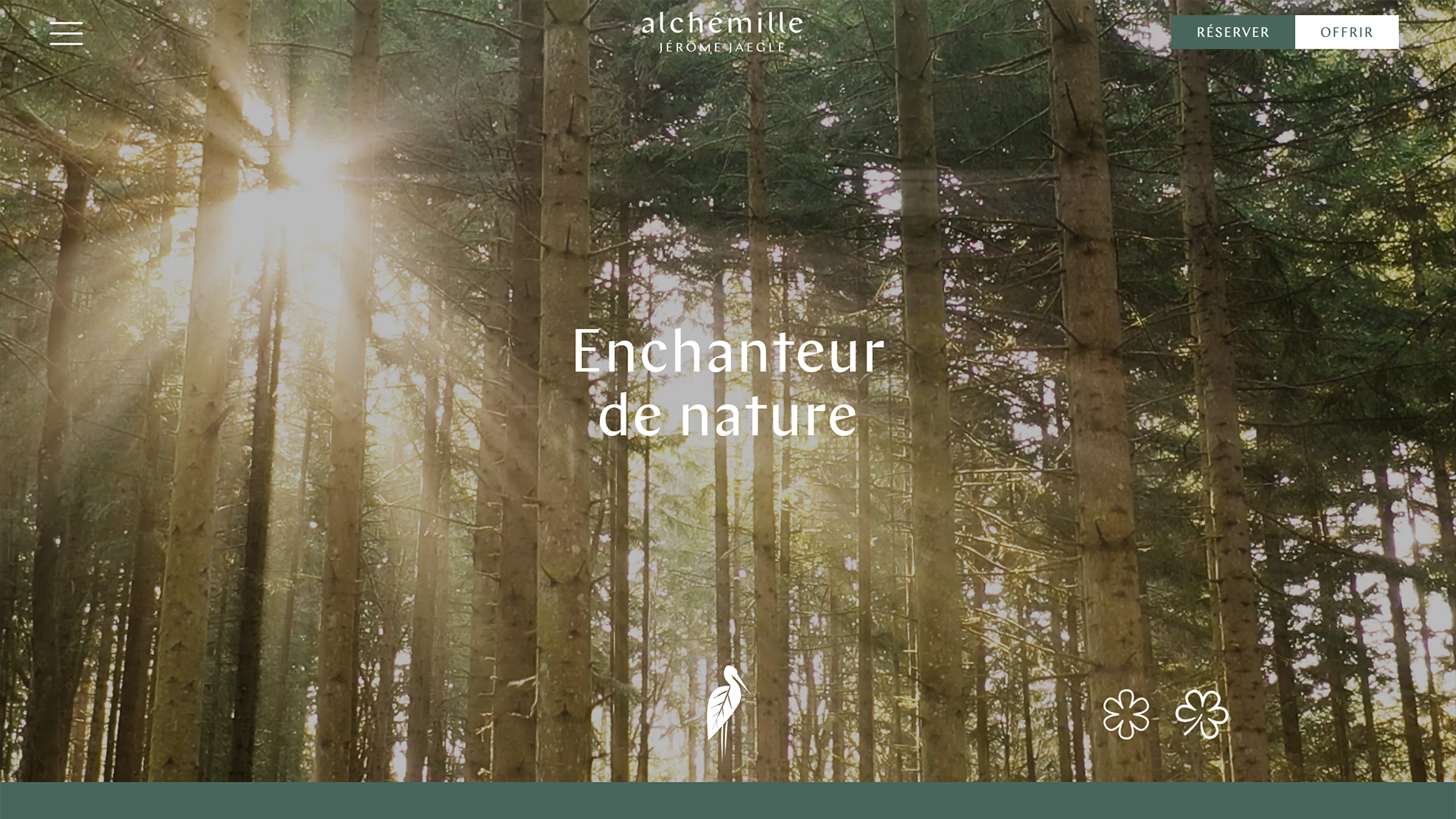 Capture du site Alchemille